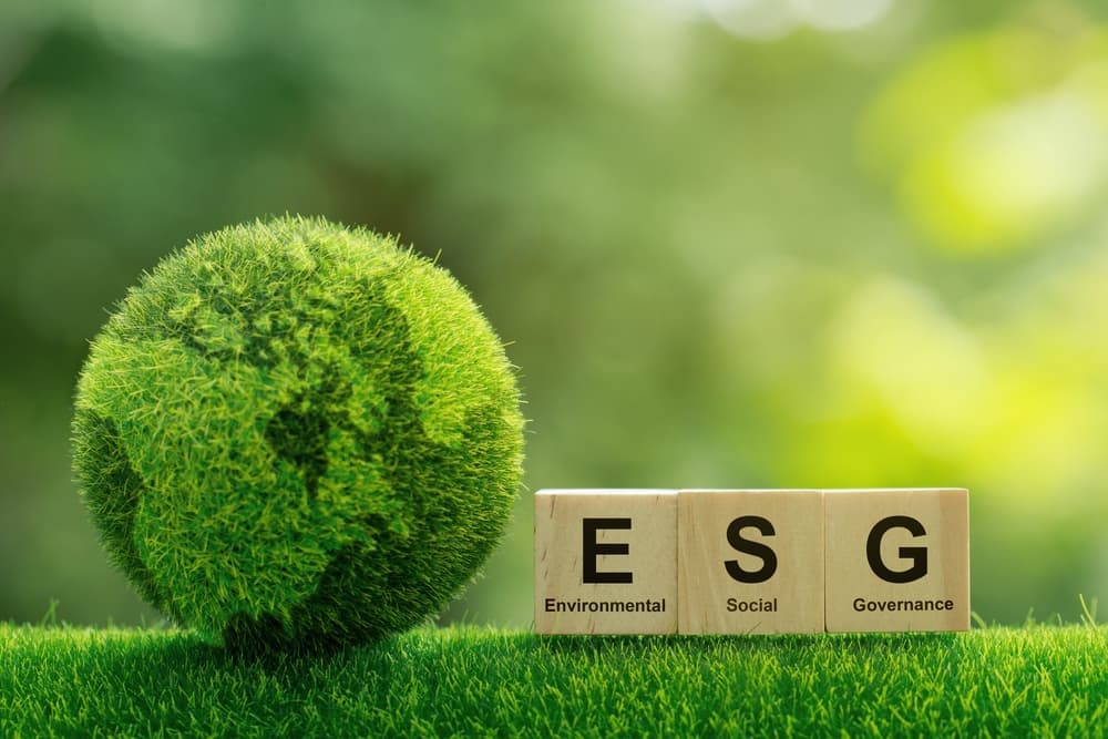 Everything You Should Know About ESG